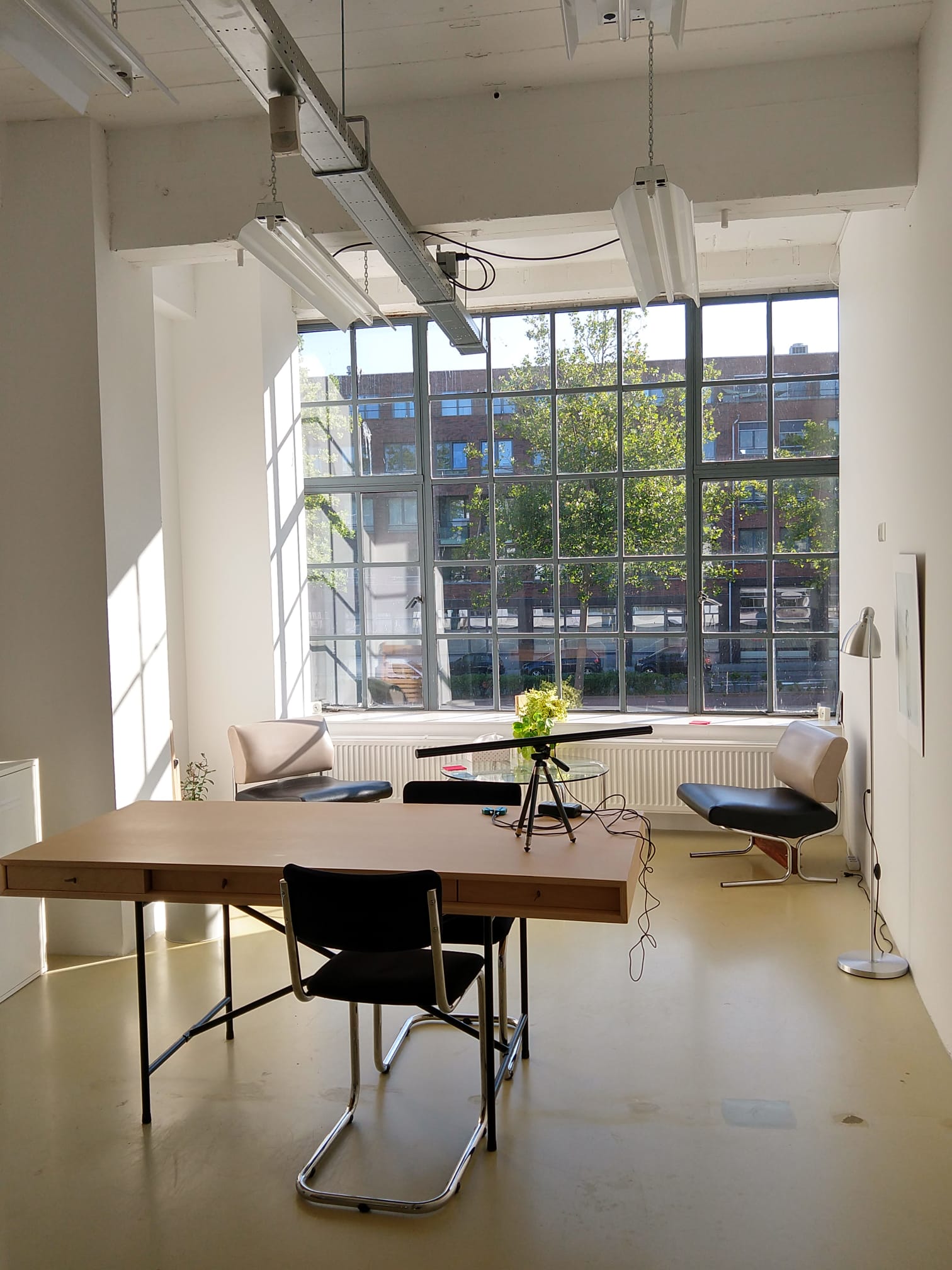 Looking for Colleagues to Share a Modern Practice Space in Rotterdam Zhi Li, Chinese and